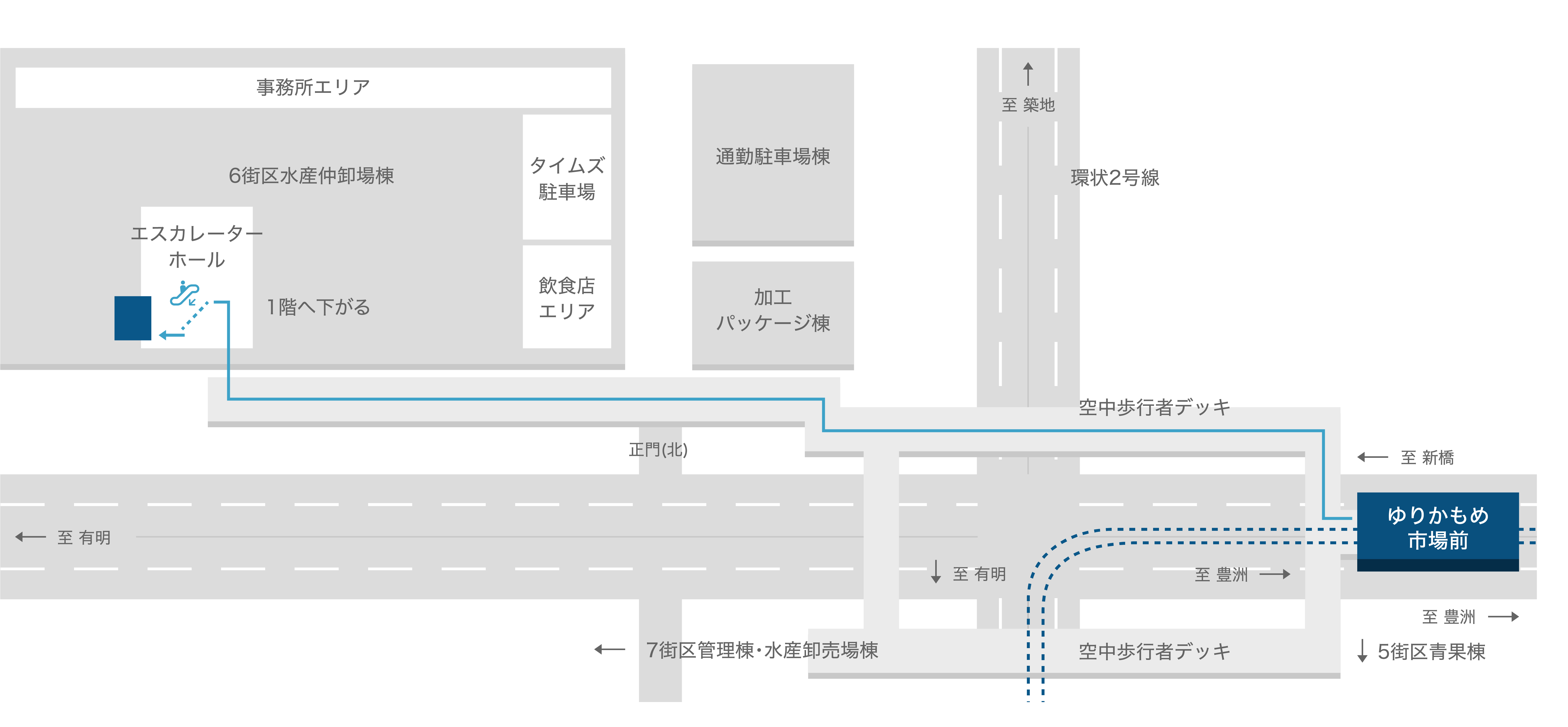 徒歩経路